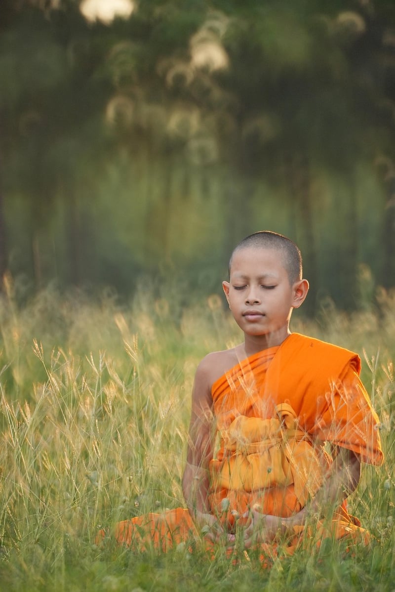 Vinyasa Yoga Physical Practice